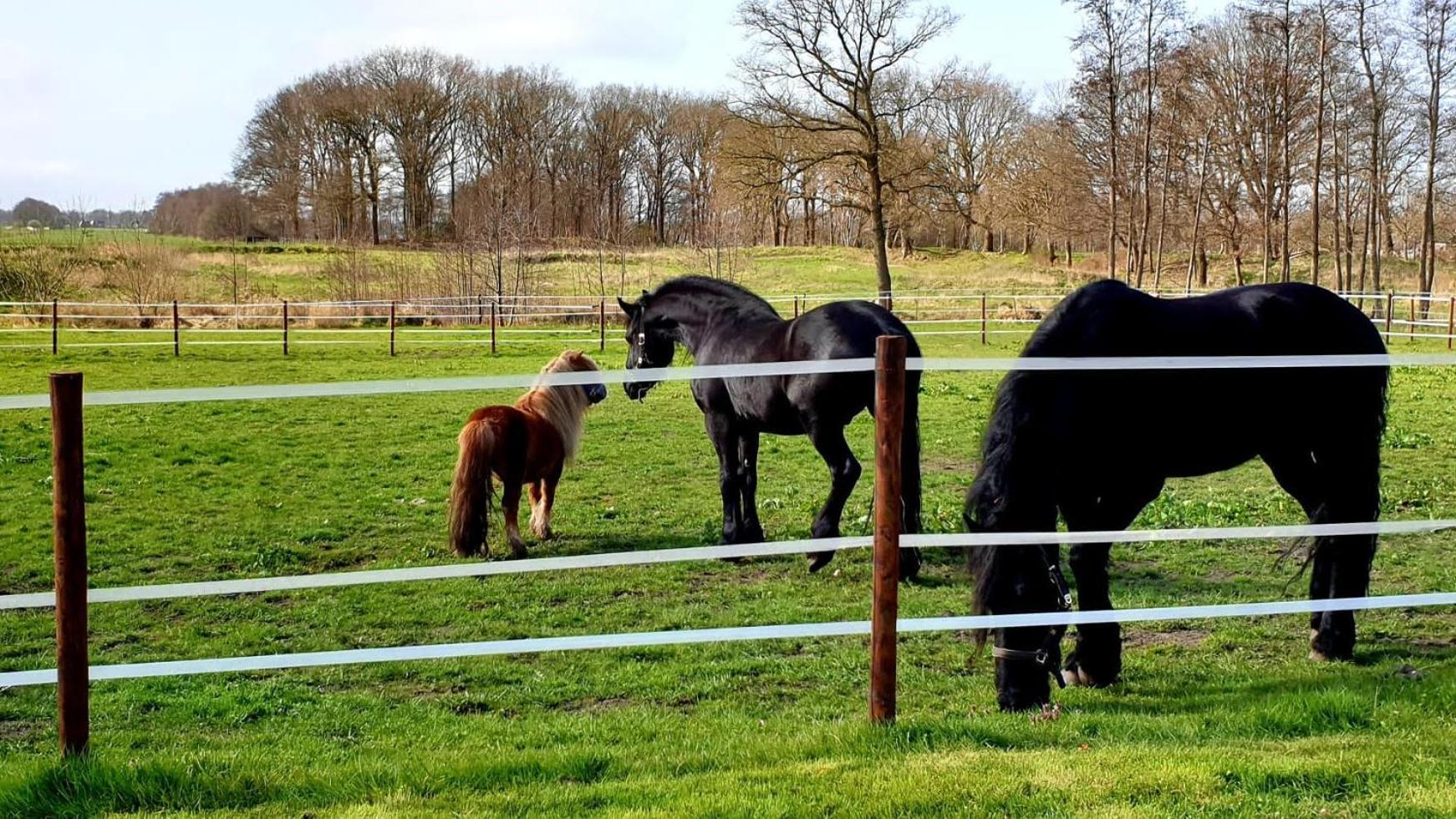 B&B Kuiper In Friesland Ureterp Exterior foto